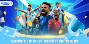 Cách đánh kèo tài xỉu 1.75