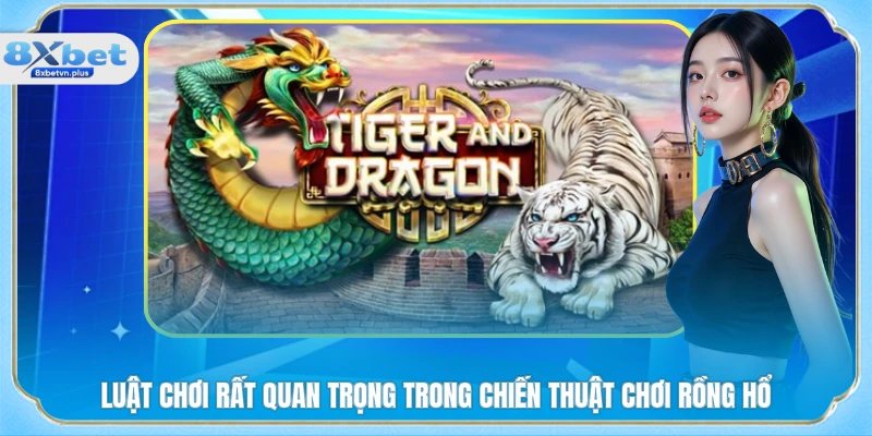 Luật chơi rất quan trọng trong chiến thuật chơi rồng hổ